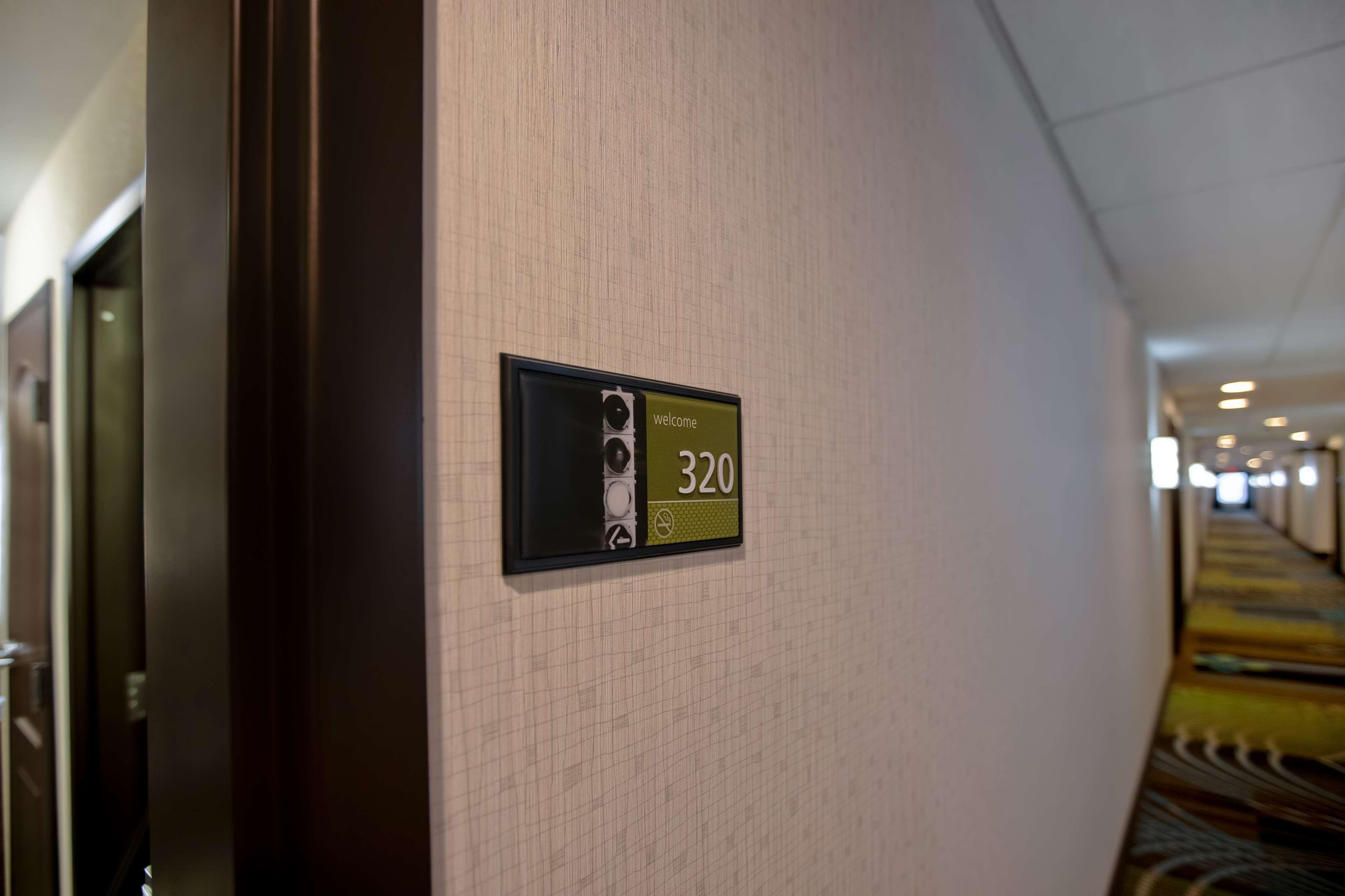 Hampton Inn Dekalb - Near The University מראה חיצוני תמונה
